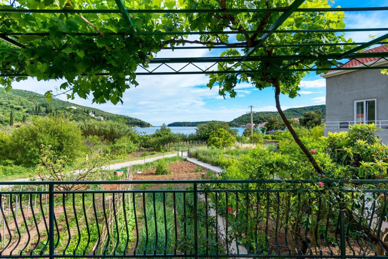 Holiday Home Garden Zaton  Extérieur photo