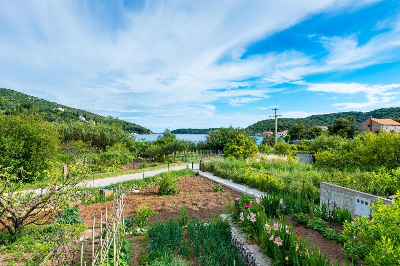 Holiday Home Garden Dubrovnik Extérieur photo